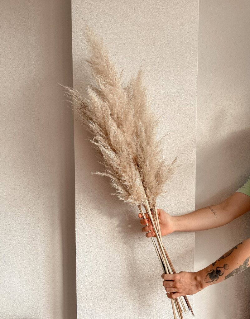 hands holding stems of pampas grass against beige wall